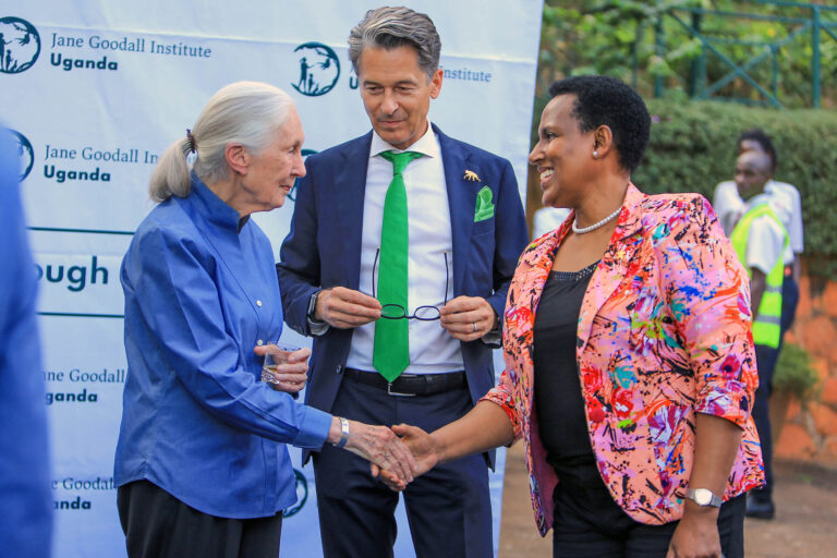 EUROPEAN UNION SINKS $33MILLION IN UGANDA ENERGY SECTOR