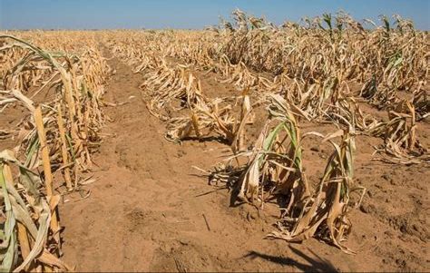 IMF APPROVES $900MILLION FOR TANZANIA CLIMATE CHANGE