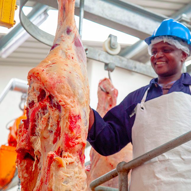 GOVERNMENT MOVES TO BLOCK UNVACCINATED ANIMALS FROM COMMERCIAL TRADE