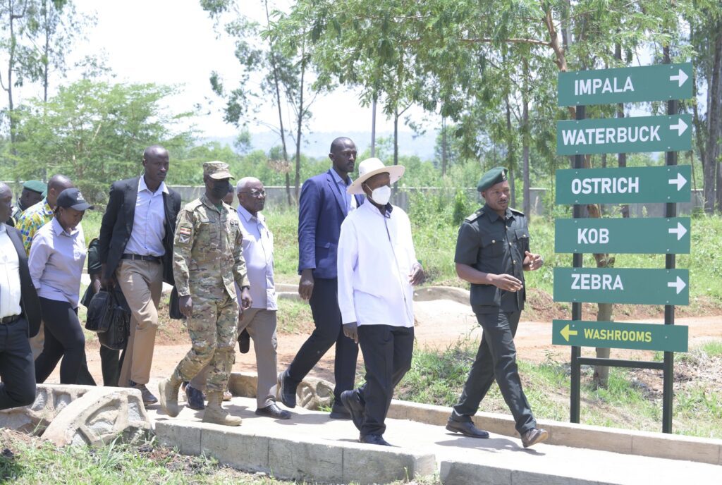 BEYOND THE BEAN: WHY CONSERVATION IS ELGON’S NEW BILLION-SHILLING FRONTIER